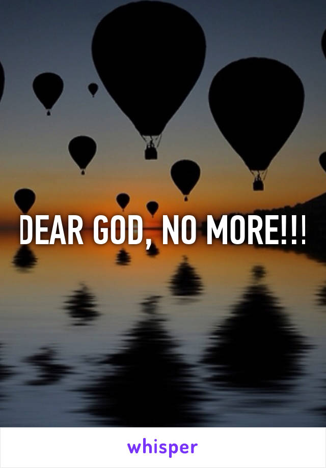 DEAR GOD, NO MORE!!!