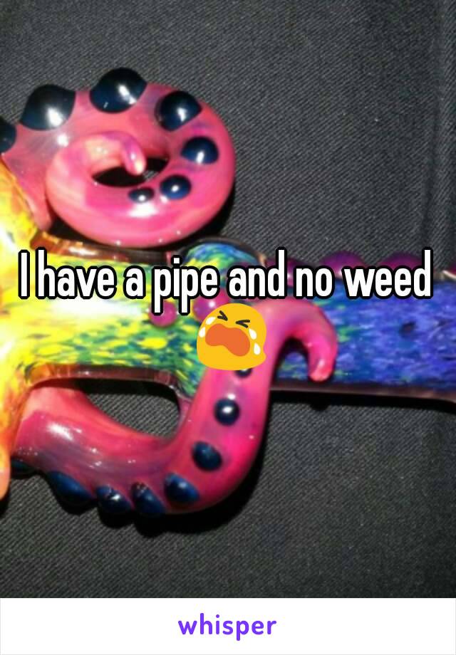 I have a pipe and no weed 😭