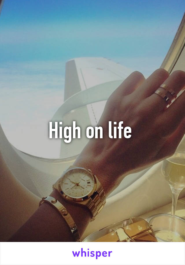 High on life 