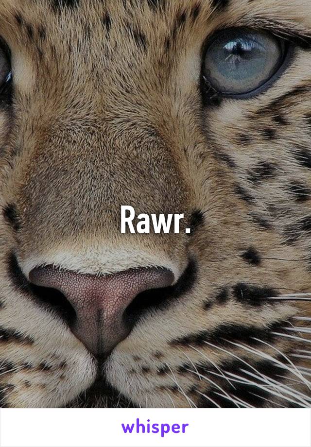 Rawr.