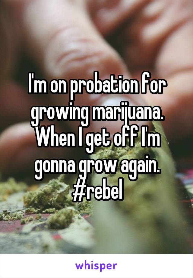 I'm on probation for growing marijuana. When I get off I'm gonna grow again. #rebel