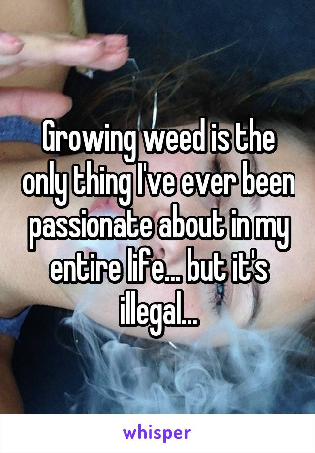 Growing weed is the only thing I've ever been passionate about in my entire life... but it's illegal...