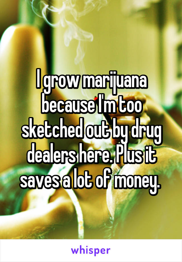 I grow marijuana because I'm too sketched out by drug dealers here. Plus it saves a lot of money. 