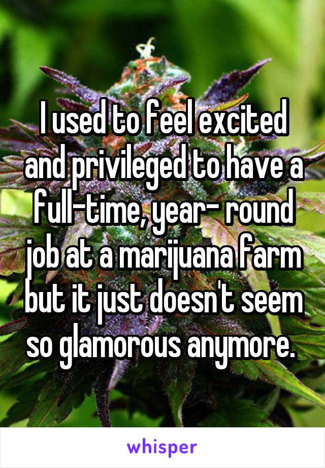 I used to feel excited and privileged to have a full-time, year- round job at a marijuana farm but it just doesn't seem so glamorous anymore. 