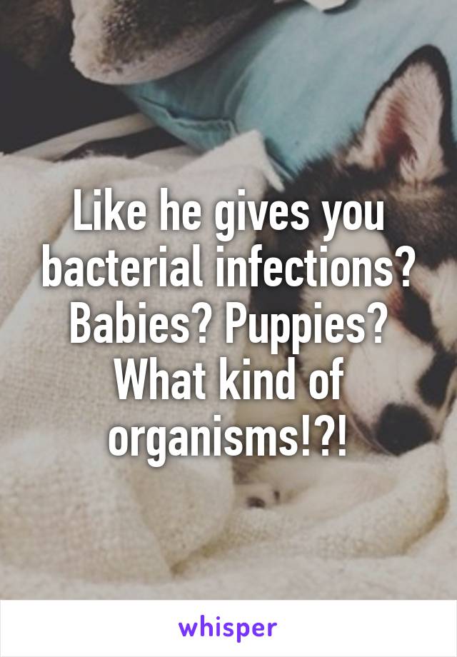 like-he-gives-you-bacterial-infections-babies-puppies-what-kind-of