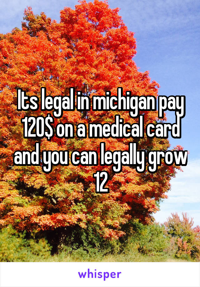 Its legal in michigan pay 120$ on a medical card and you can legally grow 12