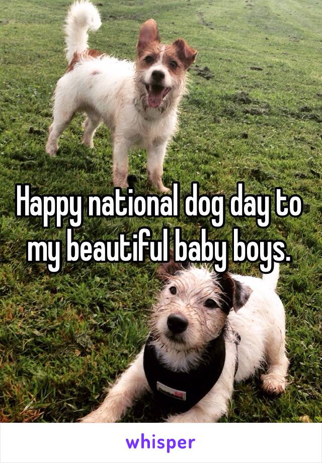 Happy national dog day to my beautiful baby boys. 
