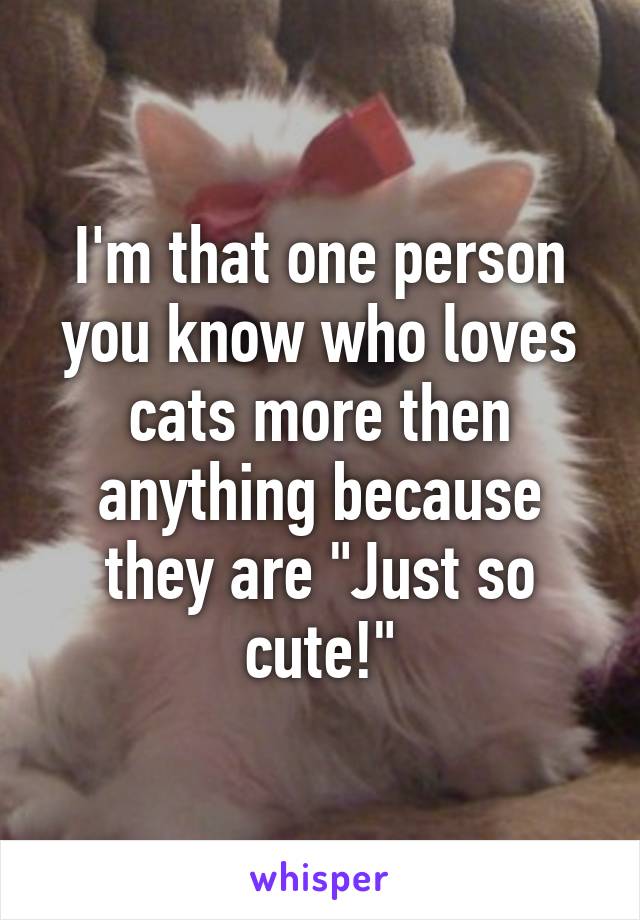 I'm that one person you know who loves cats more then anything because they are "Just so cute!"