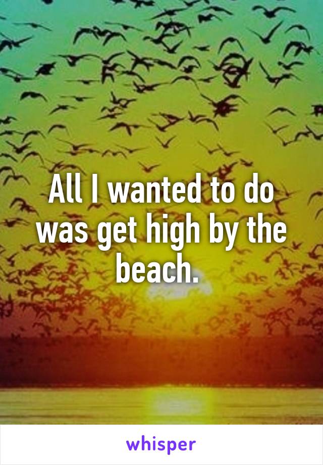 All I wanted to do was get high by the beach. 