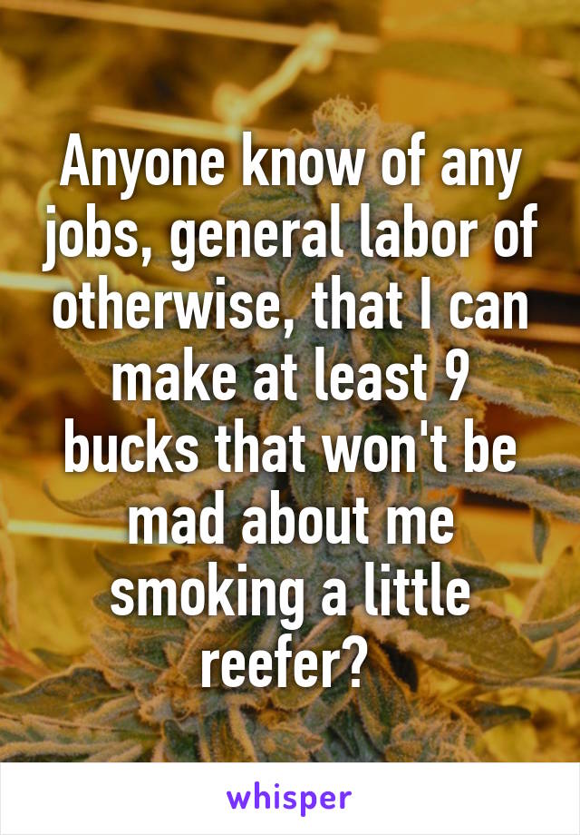 Anyone know of any jobs, general labor of otherwise, that I can make at least 9 bucks that won't be mad about me smoking a little reefer? 