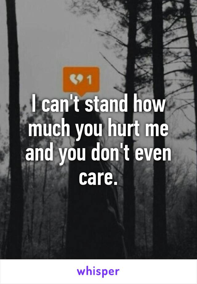 I can't stand how much you hurt me and you don't even care.