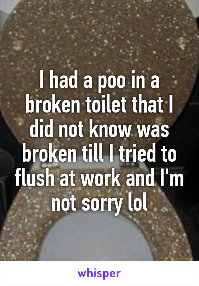 I had a poo in a broken toilet that I did not know was broken till I tried to flush at work and I'm not sorry lol