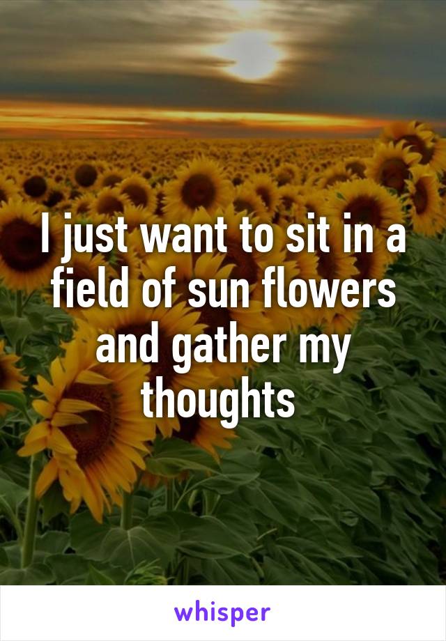 I just want to sit in a field of sun flowers and gather my thoughts 