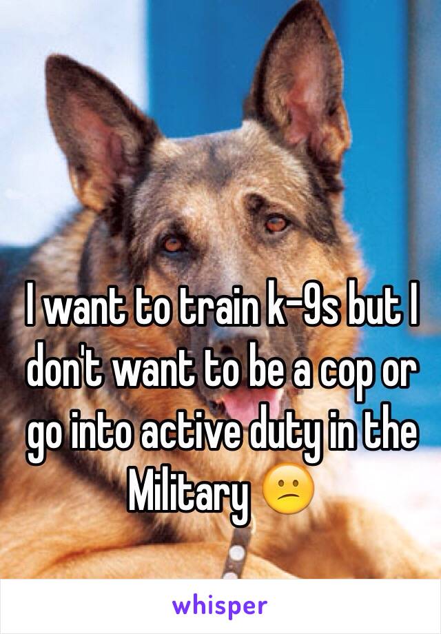 I want to train k-9s but I don't want to be a cop or go into active duty in the Military 😕