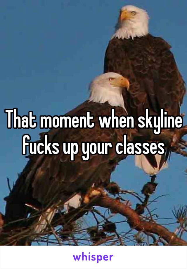 That moment when skyline fucks up your classes 