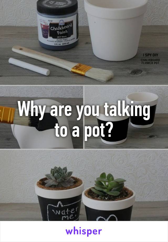 Why are you talking to a pot?