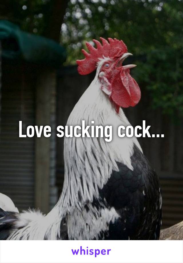 Love sucking cock...