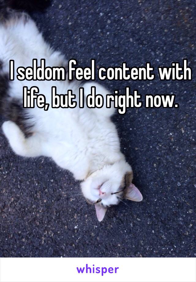 I seldom feel content with life, but I do right now. 