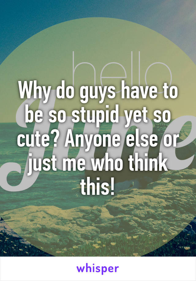 Why do guys have to be so stupid yet so cute? Anyone else or just me who think this!