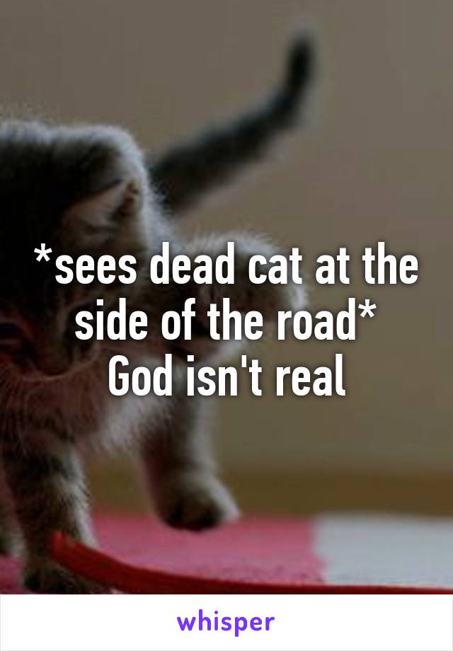 *sees dead cat at the side of the road*
God isn't real