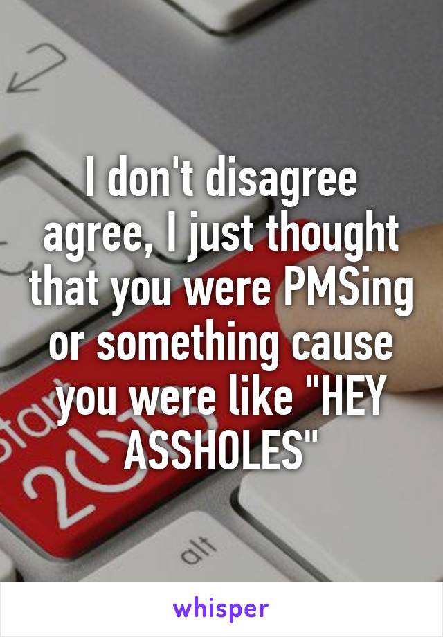 I don't disagree agree, I just thought that you were PMSing or something cause you were like "HEY ASSHOLES"