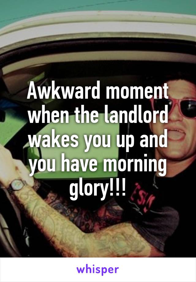 Awkward moment when the landlord wakes you up and you have morning glory!!!