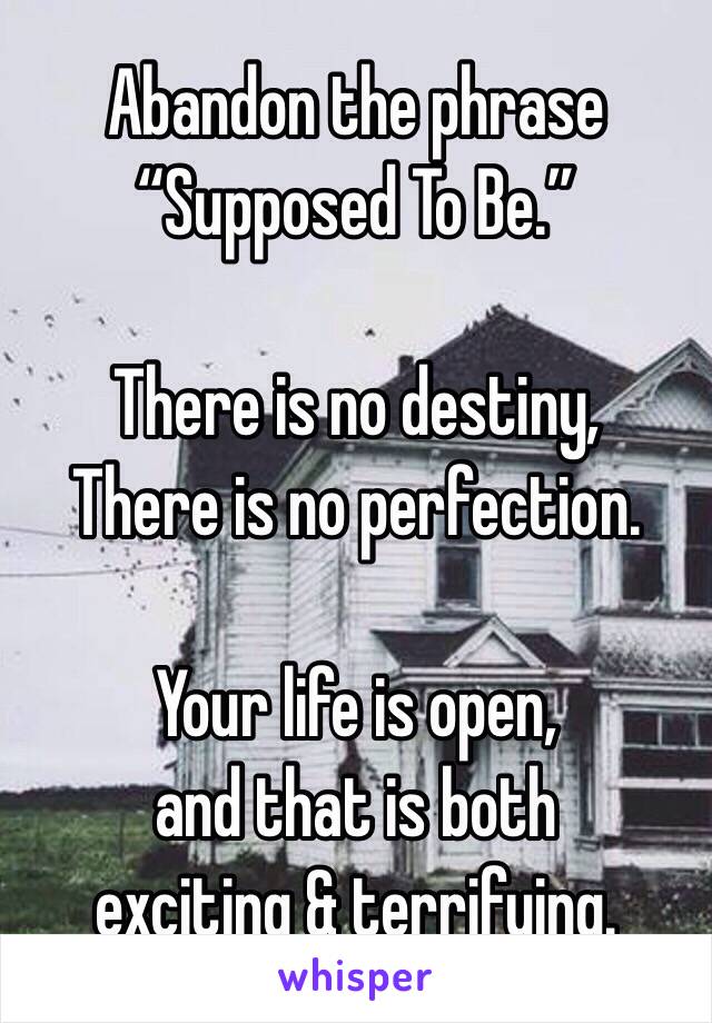 Abandon the phrase
“Supposed To Be.”

There is no destiny,
There is no perfection.

Your life is open,
and that is both
exciting & terrifying.