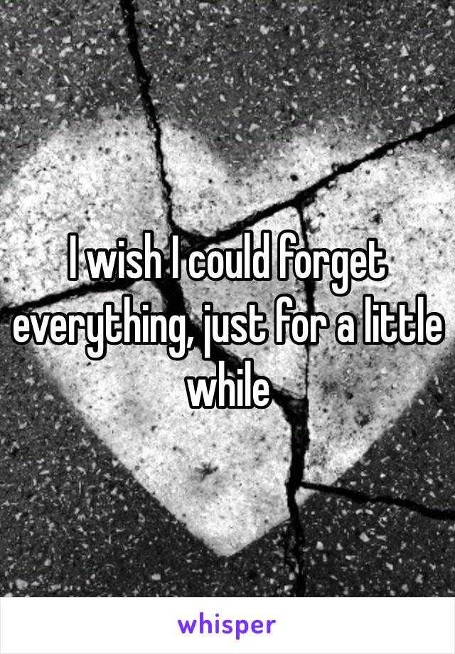 I wish I could forget everything, just for a little while