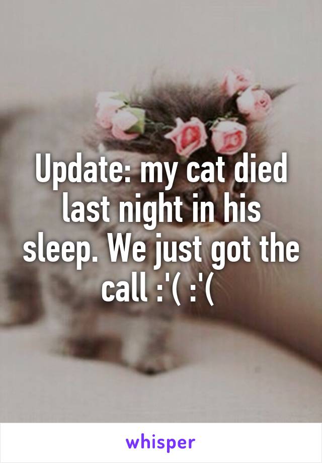 Update: my cat died last night in his sleep. We just got the call :'( :'( 