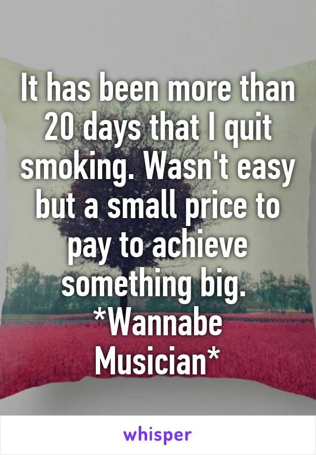 It has been more than 20 days that I quit smoking. Wasn't easy but a small price to pay to achieve something big. 
*Wannabe Musician*