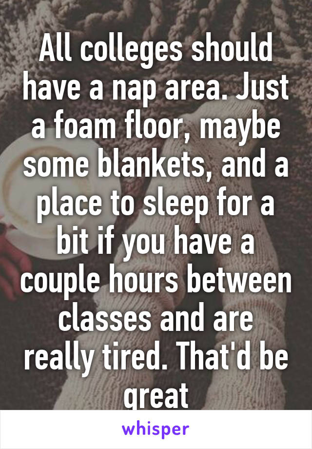 All colleges should have a nap area. Just a foam floor, maybe some blankets, and a place to sleep for a bit if you have a couple hours between classes and are really tired. That'd be great