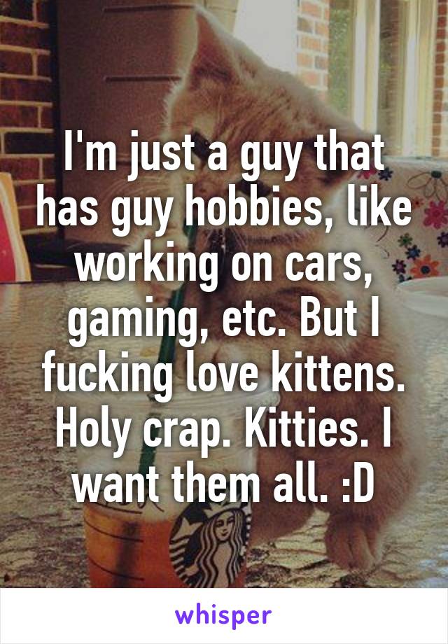 I'm just a guy that has guy hobbies, like working on cars, gaming, etc. But I fucking love kittens. Holy crap. Kitties. I want them all. :D