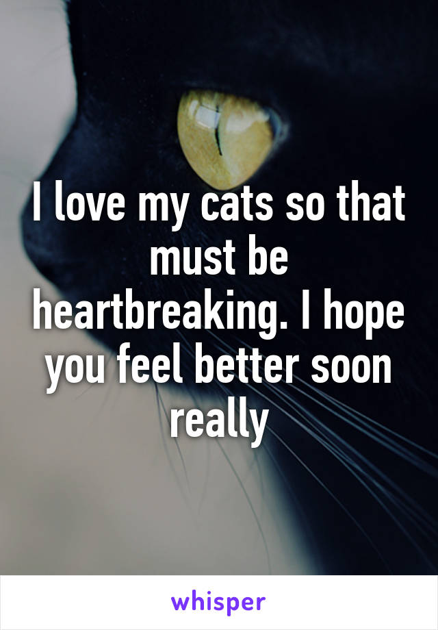 I love my cats so that must be heartbreaking. I hope you feel better soon really