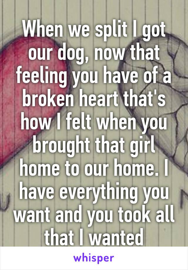 When we split I got our dog, now that feeling you have of a broken heart that's how I felt when you brought that girl home to our home. I have everything you want and you took all that I wanted