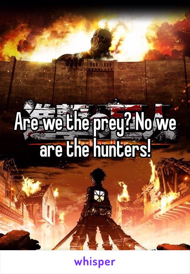 Are we the prey? No we are the hunters!