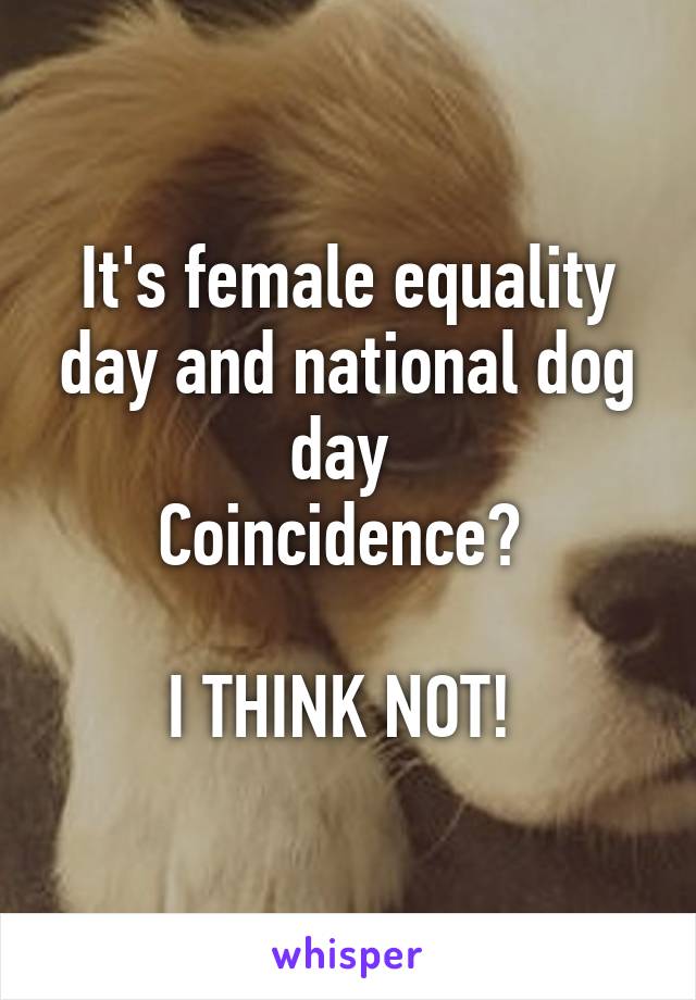 It's female equality day and national dog day 
Coincidence? 

I THINK NOT! 