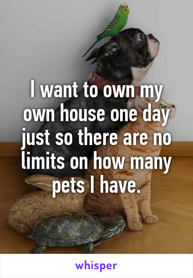 I want to own my own house one day just so there are no limits on how many pets I have.