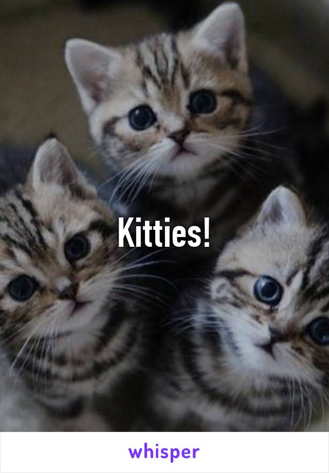 Kitties!