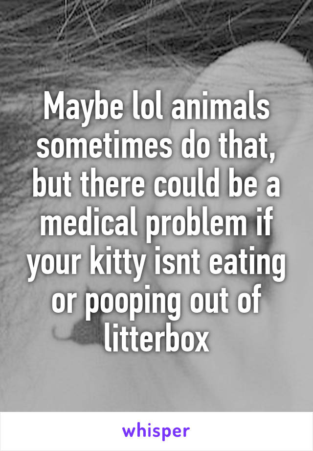 Maybe lol animals sometimes do that, but there could be a medical problem if your kitty isnt eating or pooping out of litterbox