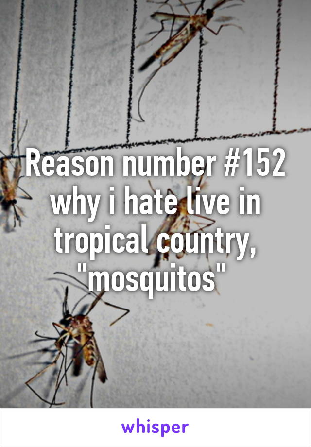 Reason number #152 why i hate live in tropical country, "mosquitos" 