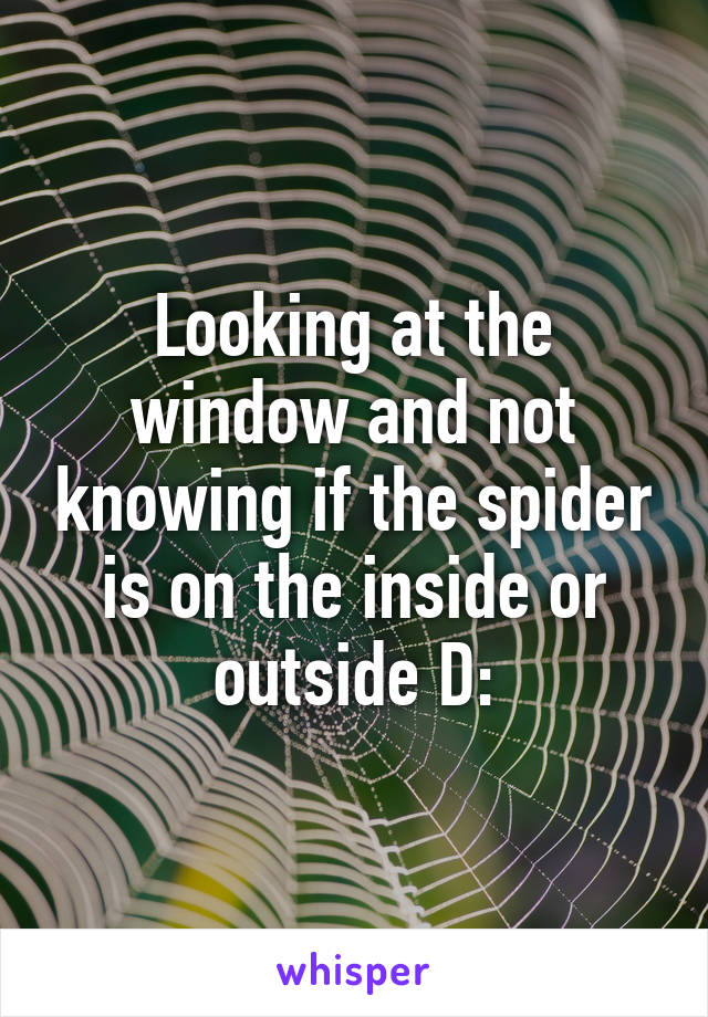 Looking at the window and not knowing if the spider is on the inside or outside D: