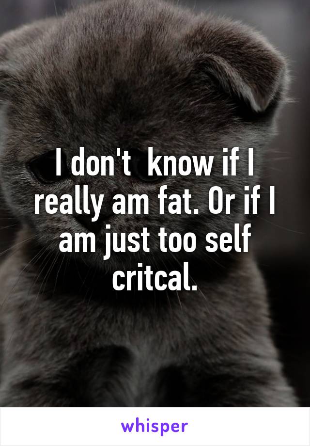 I don't  know if I really am fat. Or if I am just too self critcal.