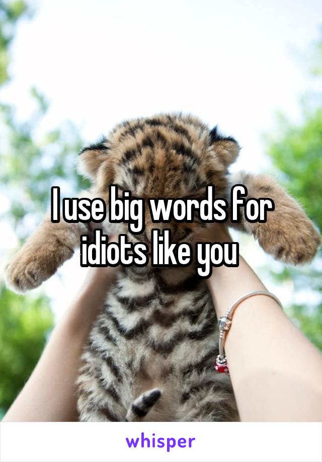 I use big words for idiots like you 