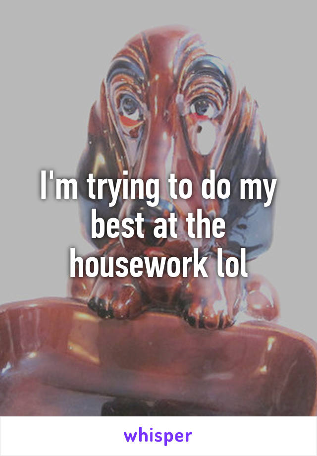 I'm trying to do my best at the housework lol