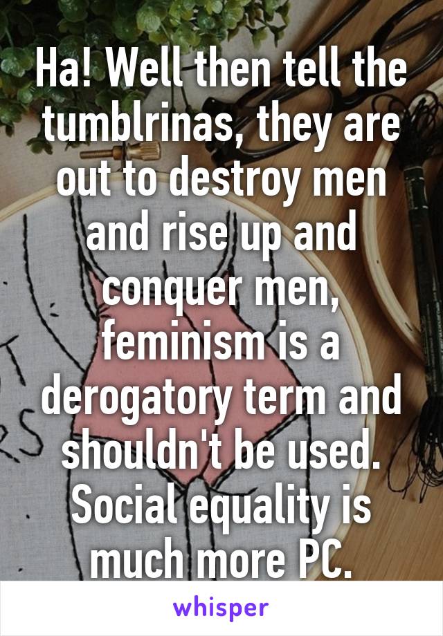 Ha! Well then tell the tumblrinas, they are out to destroy men and rise up and conquer men, feminism is a derogatory term and shouldn't be used. Social equality is much more PC.