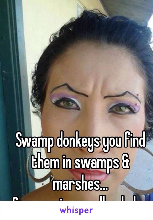 Swamp donkeys you find them in swamps & marshes...  
Common in poundland also