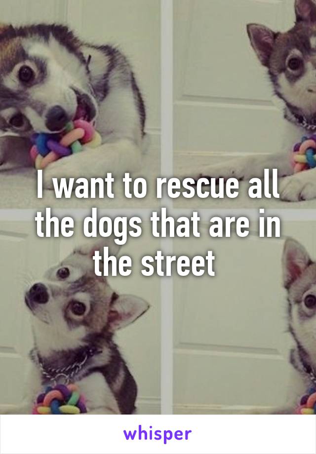 I want to rescue all the dogs that are in the street 