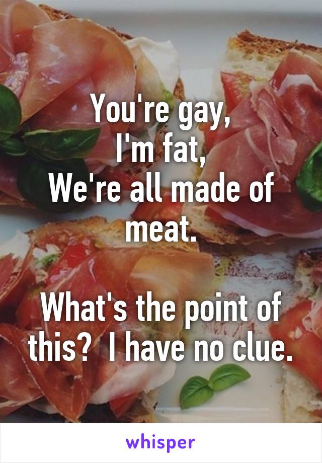 You're gay,
I'm fat,
We're all made of meat.

What's the point of this?  I have no clue.