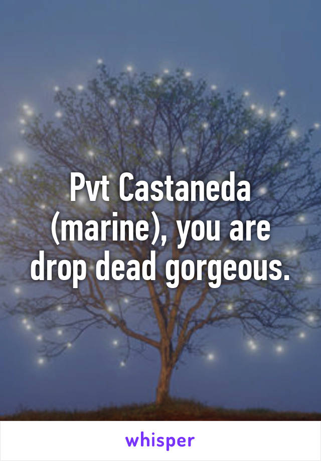 Pvt Castaneda (marine), you are drop dead gorgeous.