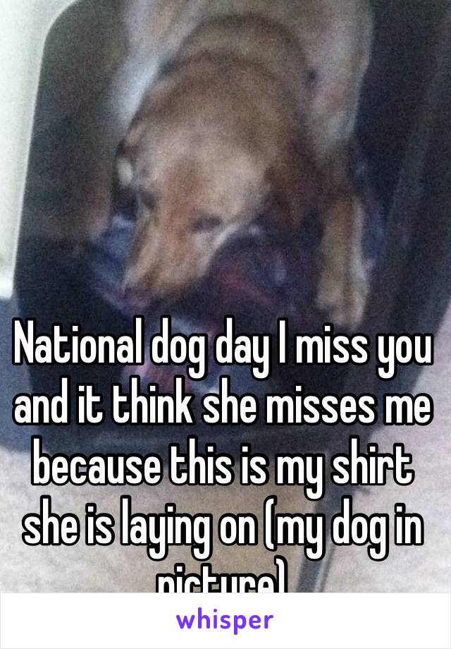 National dog day I miss you and it think she misses me because this is my shirt she is laying on (my dog in picture)